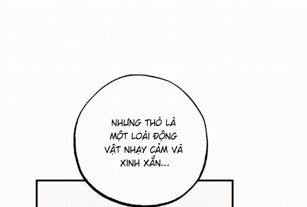 Những Chú Thỏ Của Hapypy 65 trang 33