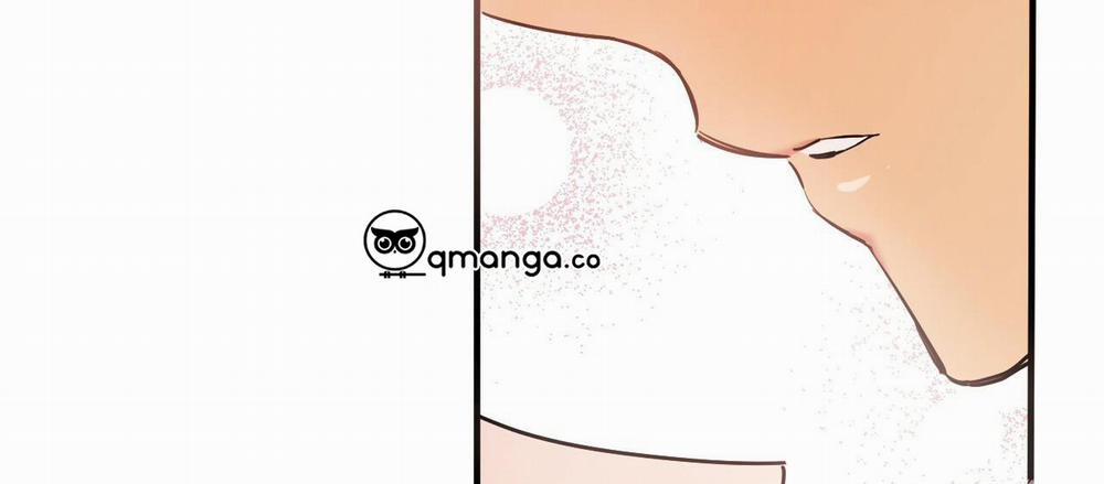 Những Chú Thỏ Của Hapypy 7 trang 11