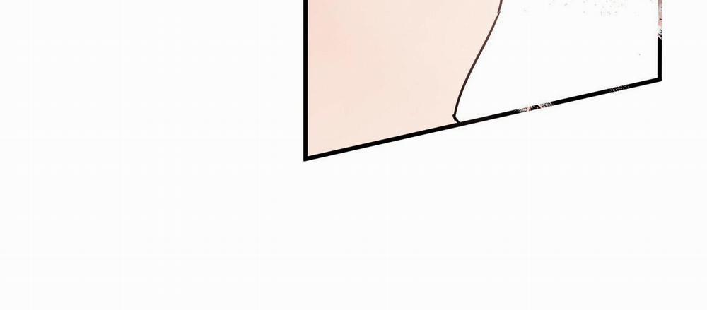 Những Chú Thỏ Của Hapypy 7 trang 12