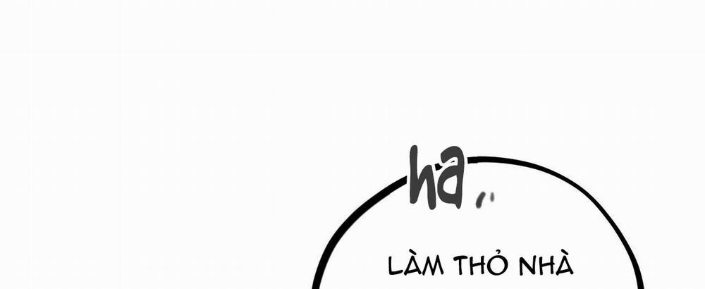 Những Chú Thỏ Của Hapypy 7 trang 141