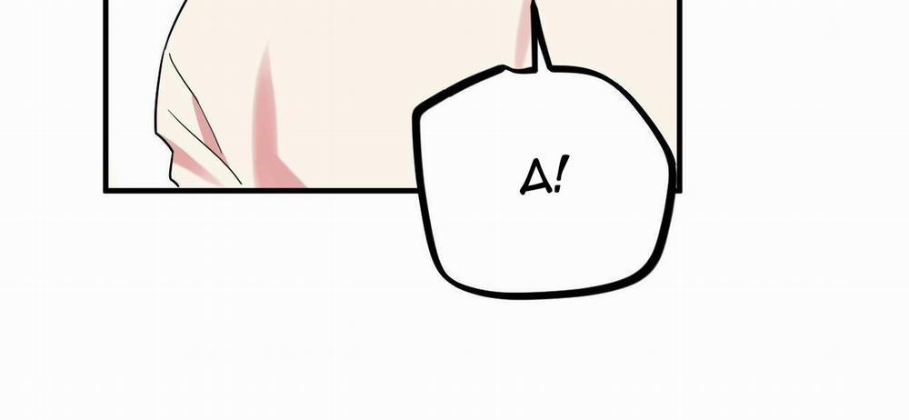 Những Chú Thỏ Của Hapypy 7 trang 161