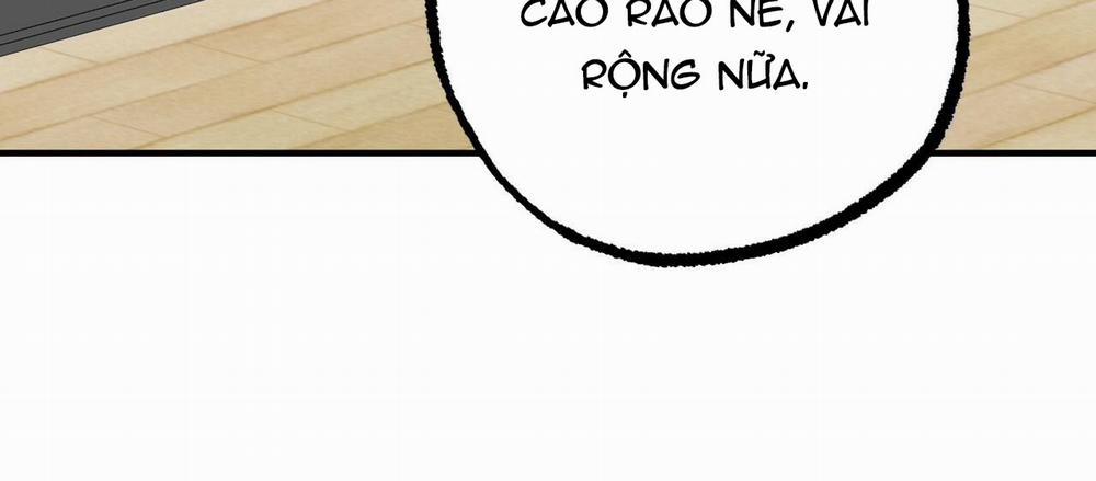 Những Chú Thỏ Của Hapypy 7 trang 212