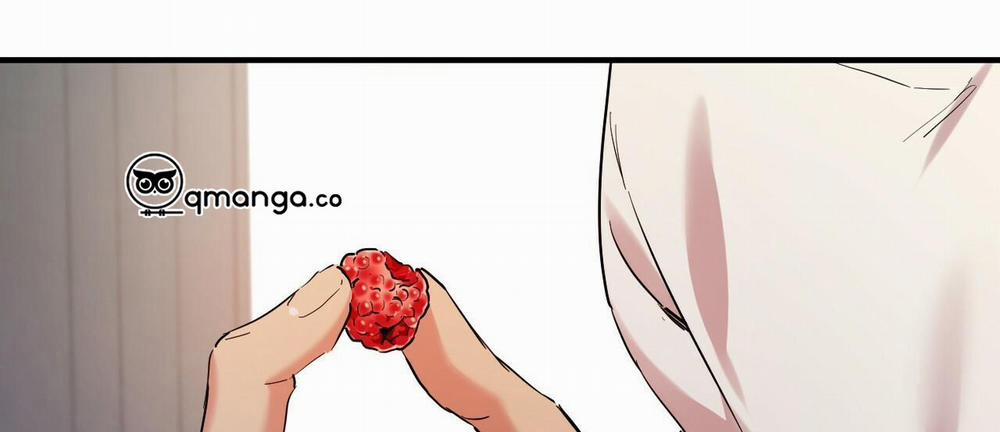 Những Chú Thỏ Của Hapypy 7 trang 229