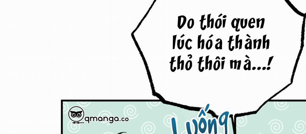 Những Chú Thỏ Của Hapypy 7 trang 253