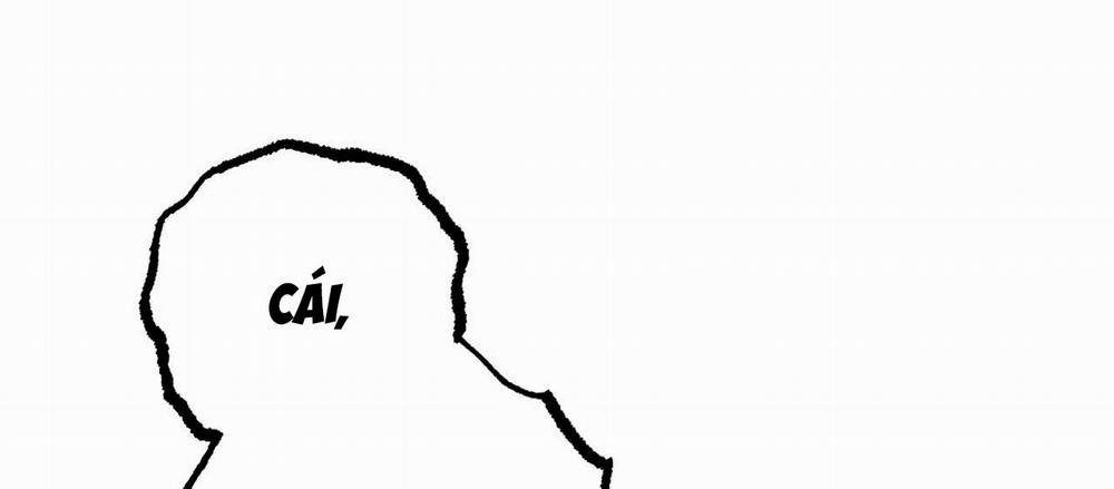 Những Chú Thỏ Của Hapypy 7 trang 263