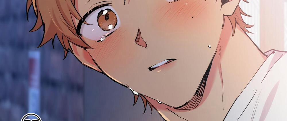 Những Chú Thỏ Của Hapypy 7 trang 290