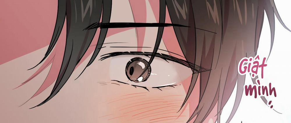 Những Chú Thỏ Của Hapypy 7 trang 295