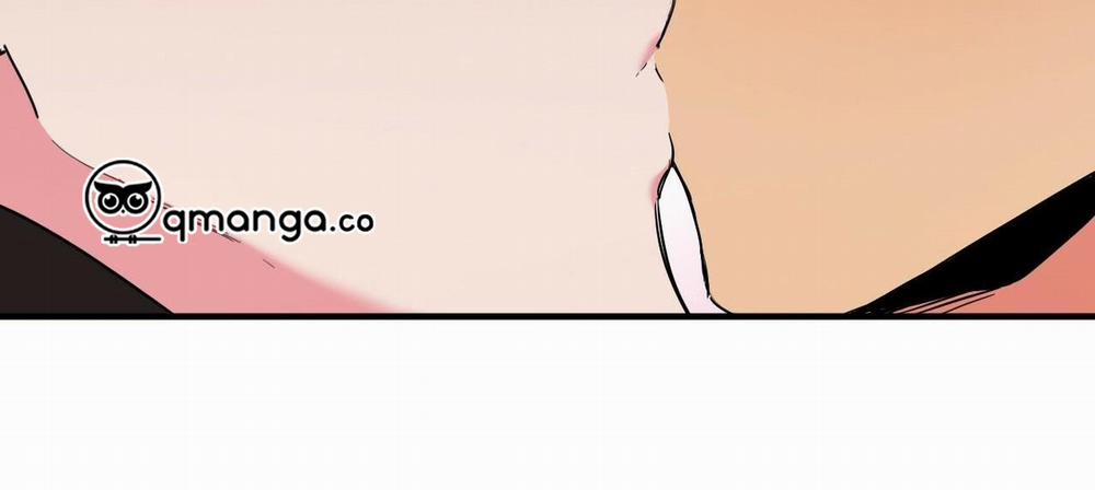 Những Chú Thỏ Của Hapypy 7 trang 316