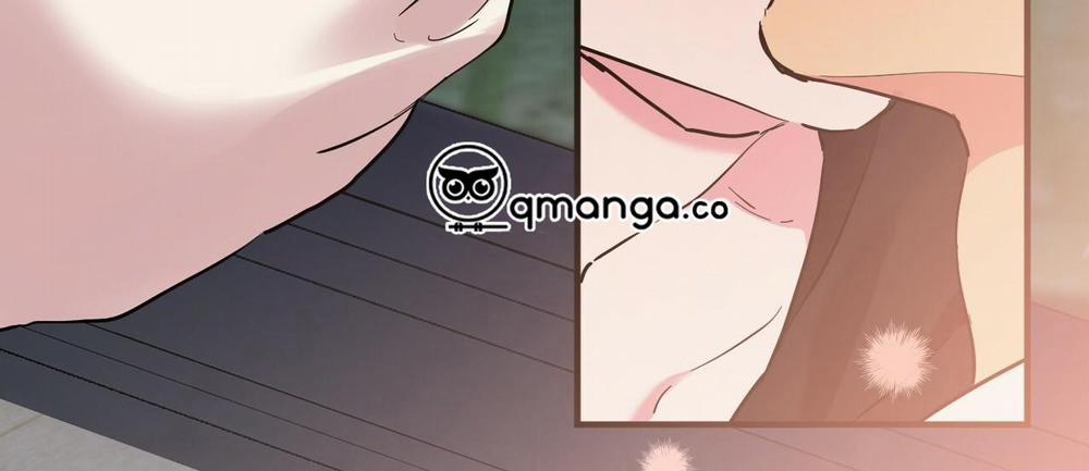 Những Chú Thỏ Của Hapypy 7 trang 328