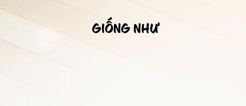 Những Chú Thỏ Của Hapypy 7 trang 330