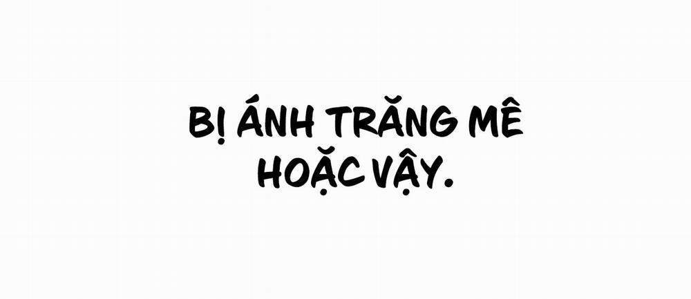 Những Chú Thỏ Của Hapypy 7 trang 334