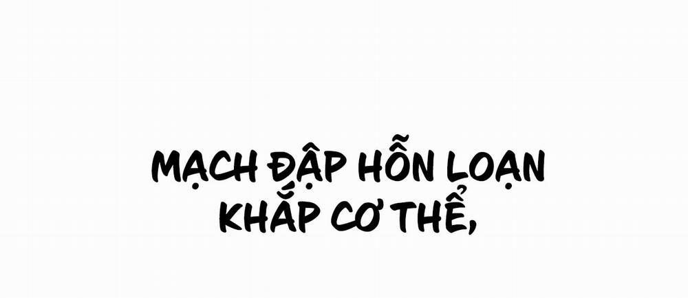 Những Chú Thỏ Của Hapypy 7 trang 350