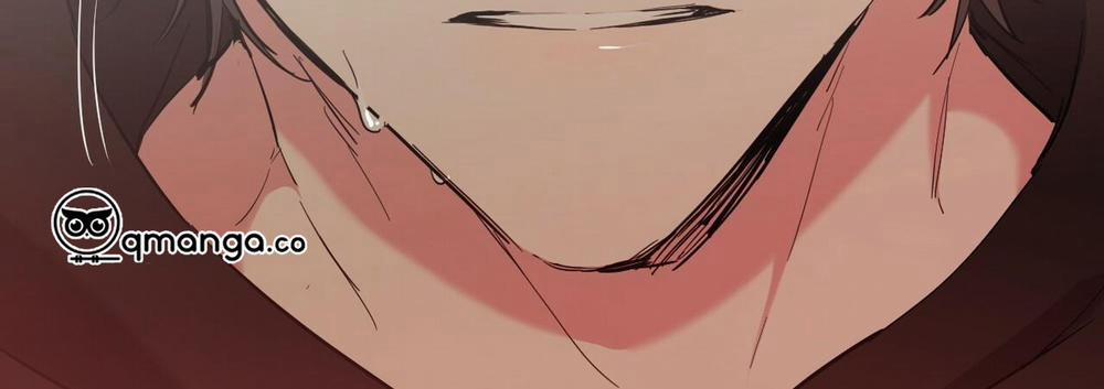 Những Chú Thỏ Của Hapypy 7 trang 365