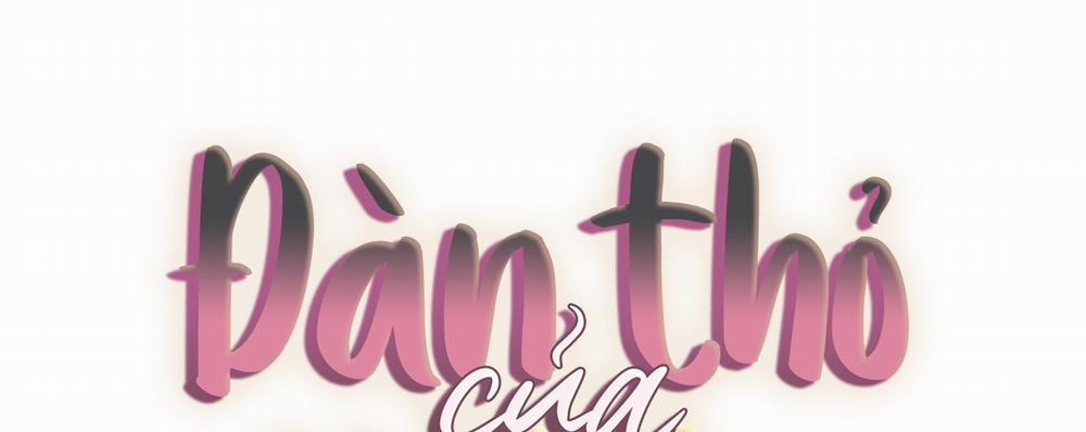 Những Chú Thỏ Của Hapypy 7 trang 41