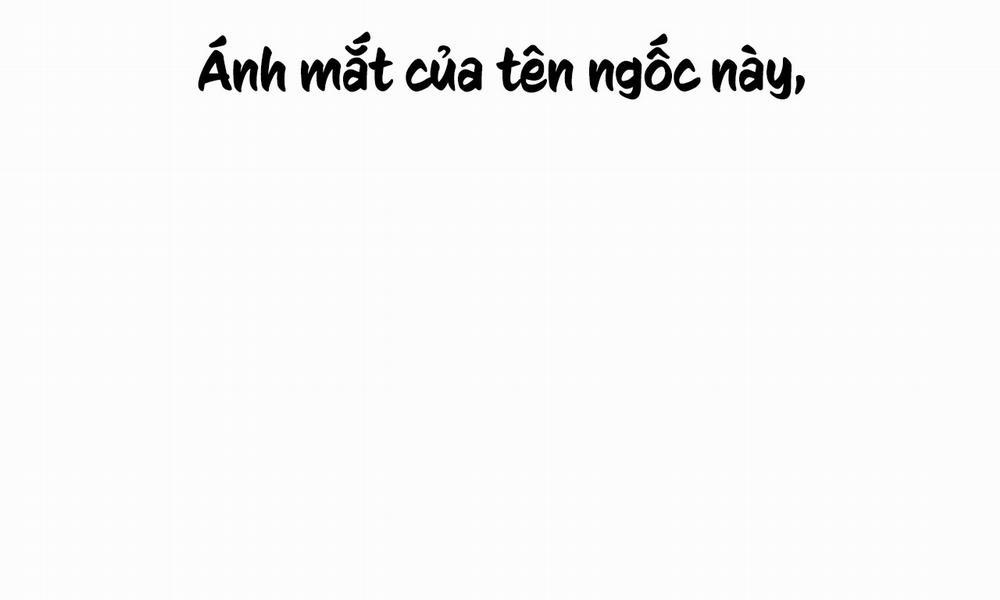 Những Chú Thỏ Của Hapypy 8 trang 11