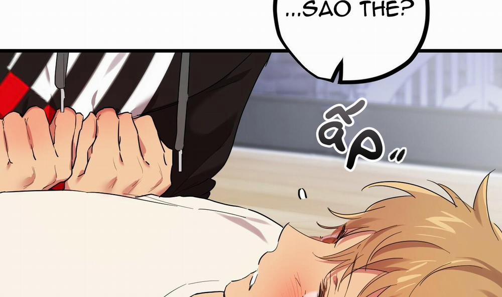 Những Chú Thỏ Của Hapypy 8 trang 152