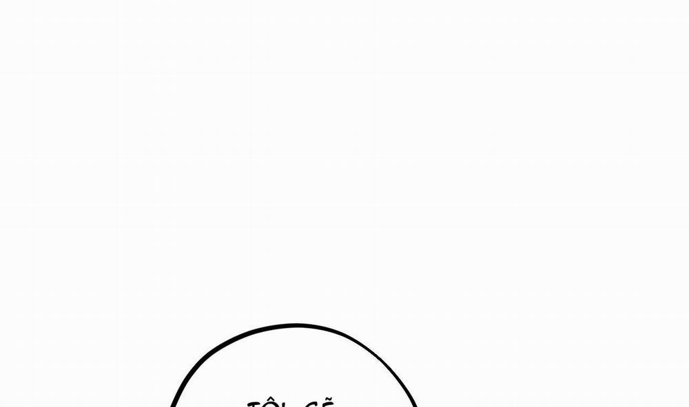 Những Chú Thỏ Của Hapypy 8 trang 155