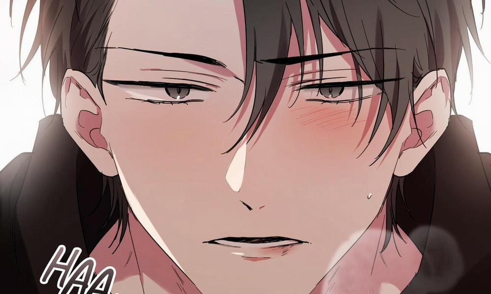 Những Chú Thỏ Của Hapypy 8 trang 166