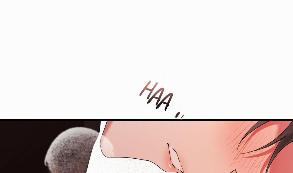 Những Chú Thỏ Của Hapypy 8 trang 202