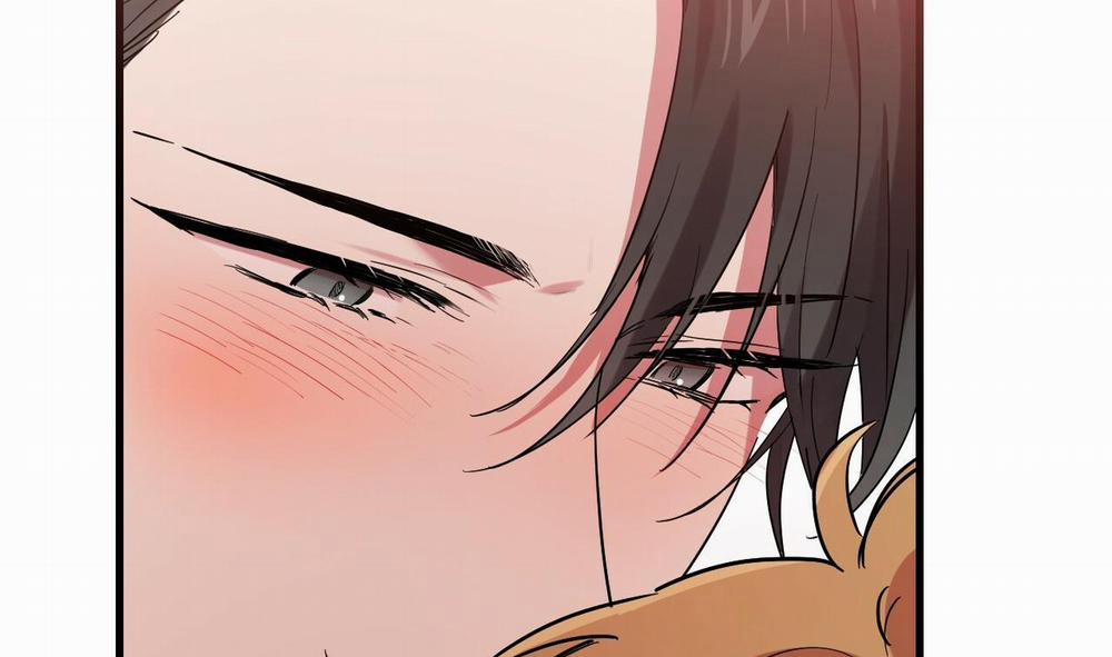 Những Chú Thỏ Của Hapypy 8 trang 213