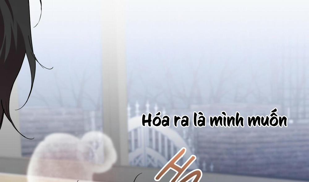 Những Chú Thỏ Của Hapypy 8 trang 218