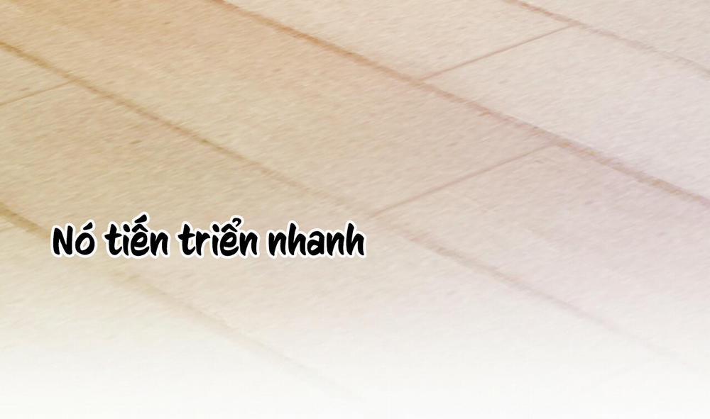 Những Chú Thỏ Của Hapypy 8 trang 221