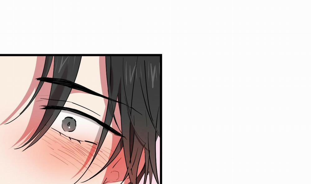 Những Chú Thỏ Của Hapypy 8 trang 227