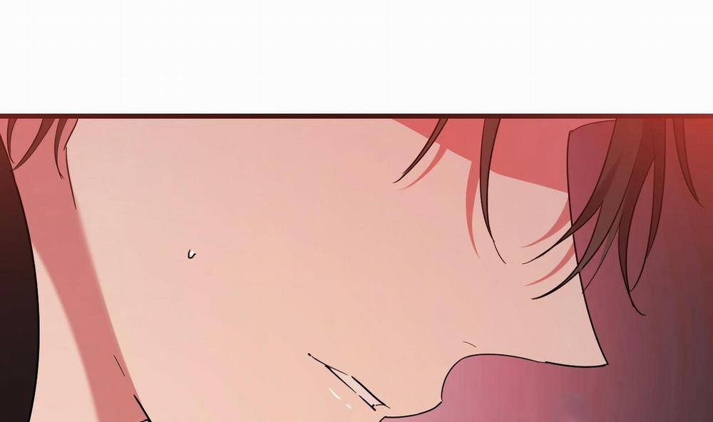 Những Chú Thỏ Của Hapypy 8 trang 235