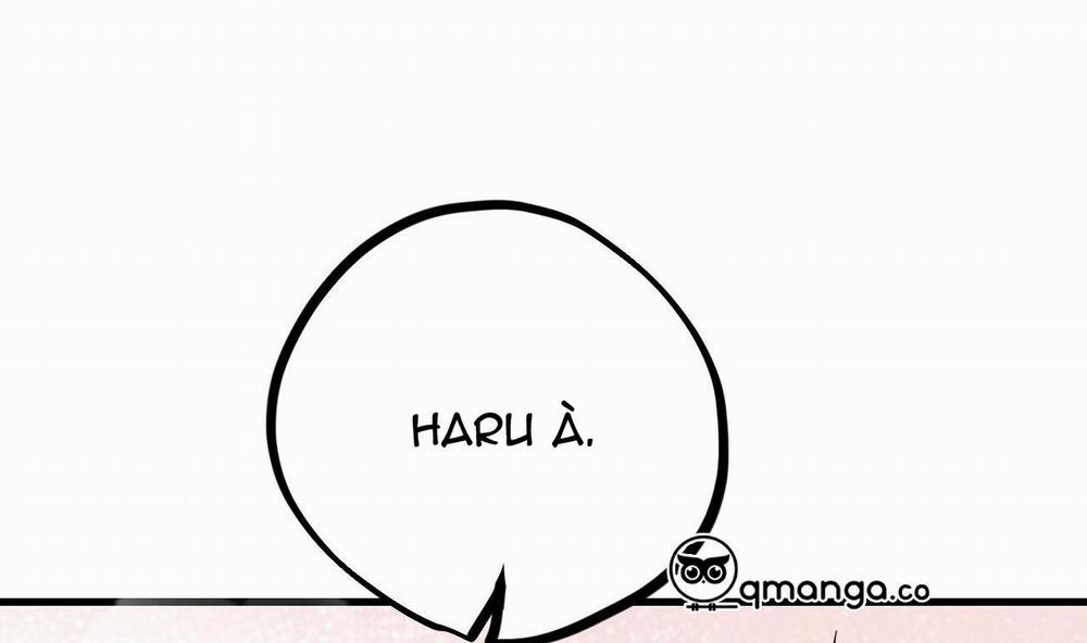 Những Chú Thỏ Của Hapypy 8 trang 238