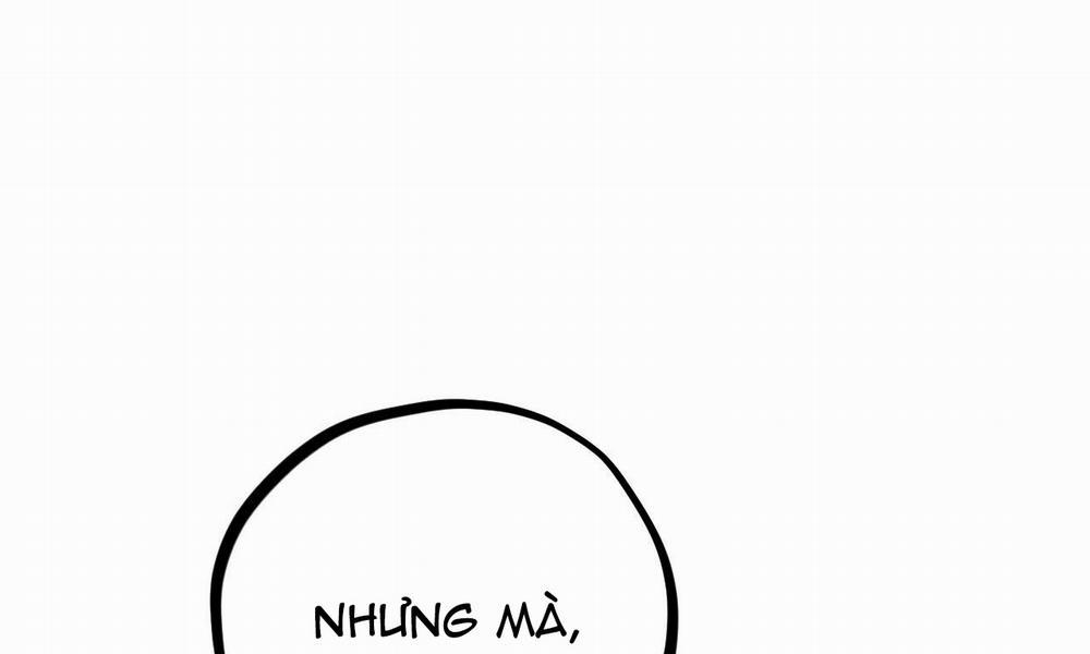 Những Chú Thỏ Của Hapypy 8 trang 257