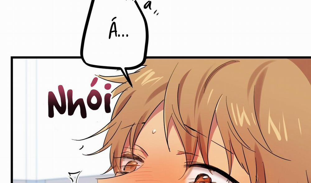 Những Chú Thỏ Của Hapypy 8 trang 262