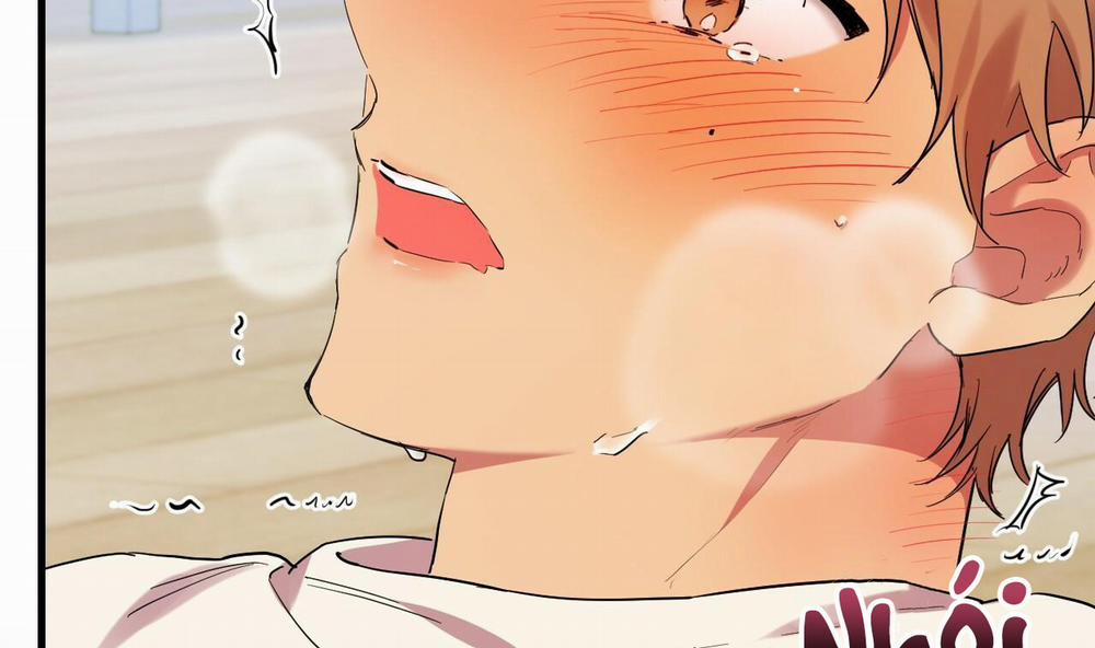 Những Chú Thỏ Của Hapypy 8 trang 263