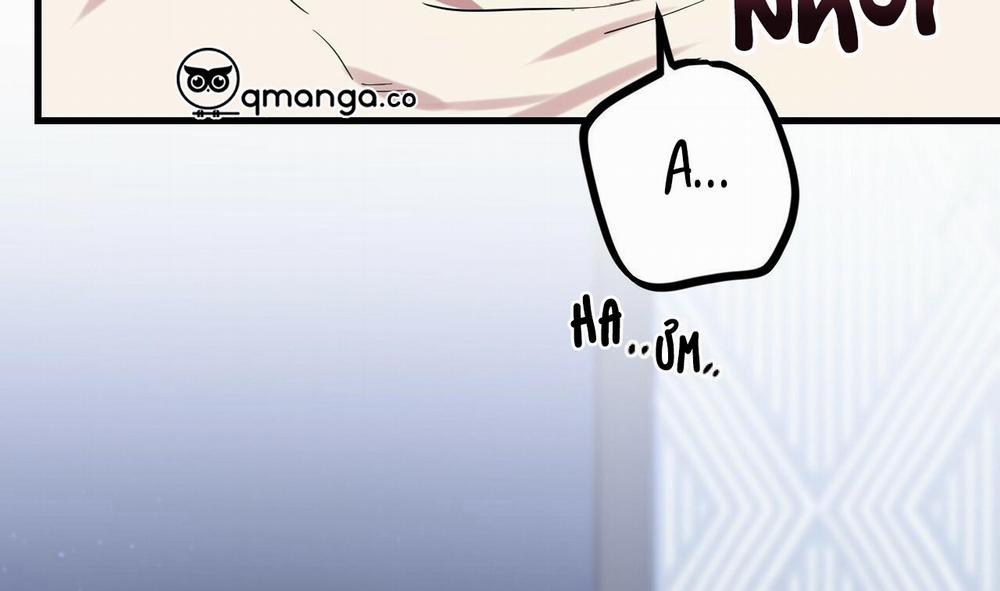 Những Chú Thỏ Của Hapypy 8 trang 264