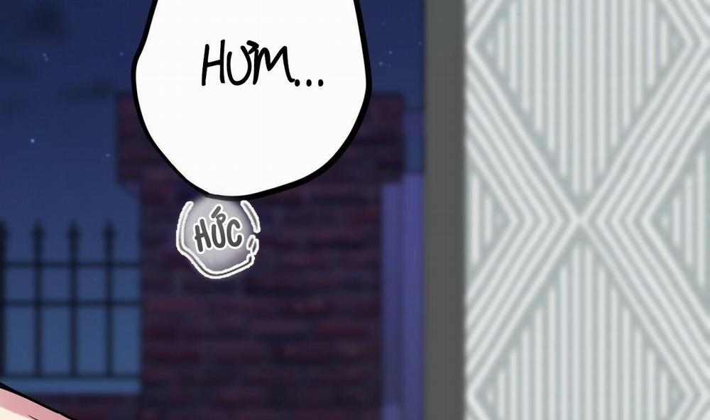 Những Chú Thỏ Của Hapypy 8 trang 266