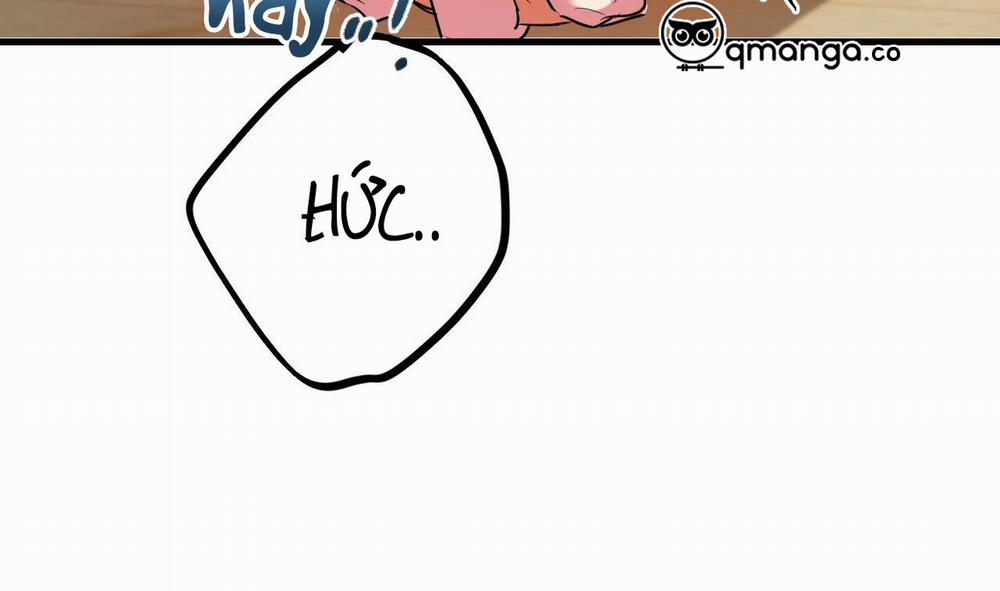 Những Chú Thỏ Của Hapypy 8 trang 277