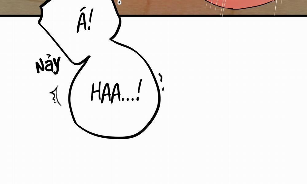 Những Chú Thỏ Của Hapypy 8 trang 284