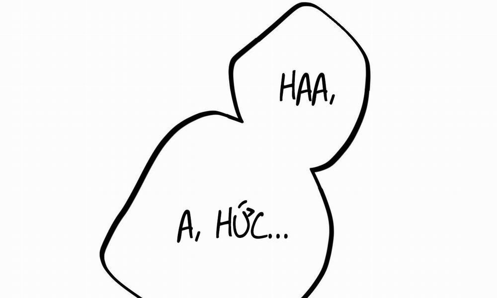 Những Chú Thỏ Của Hapypy 8 trang 288