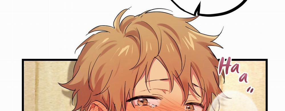 Những Chú Thỏ Của Hapypy 8 trang 303