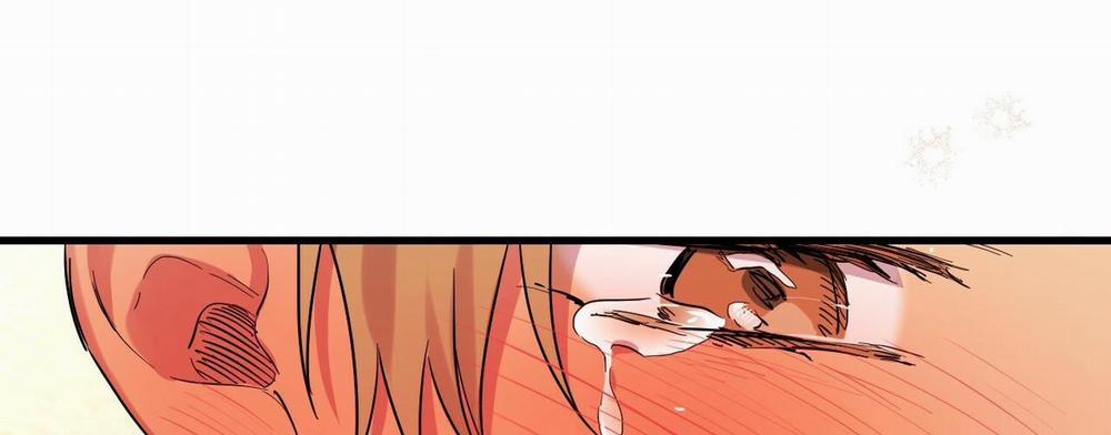 Những Chú Thỏ Của Hapypy 8 trang 312