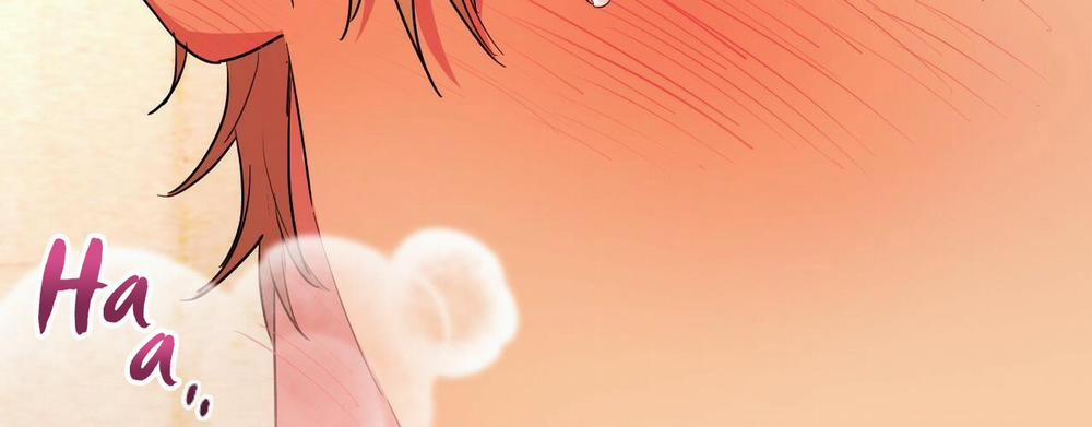 Những Chú Thỏ Của Hapypy 8 trang 313