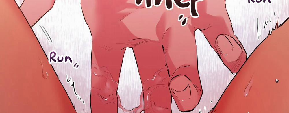 Những Chú Thỏ Của Hapypy 8 trang 319