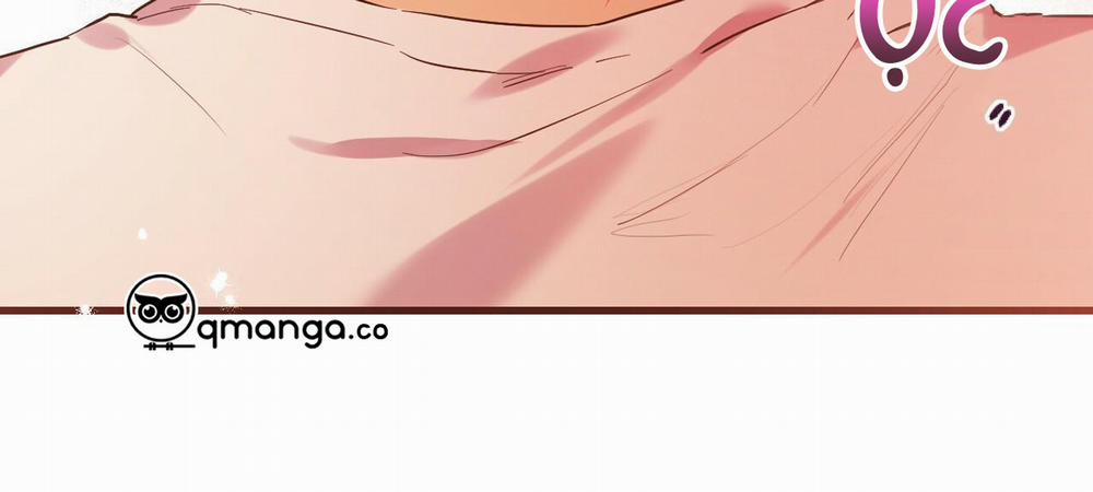 Những Chú Thỏ Của Hapypy 8 trang 323