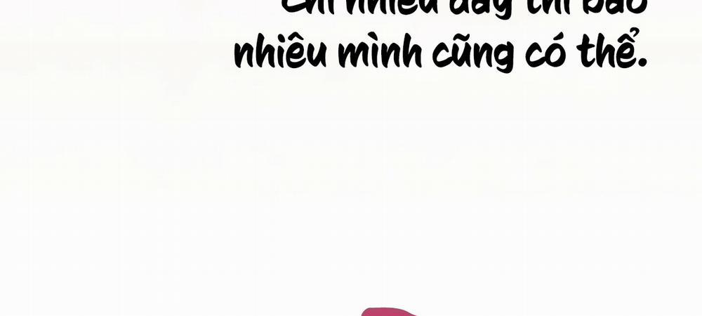 Những Chú Thỏ Của Hapypy 8 trang 334