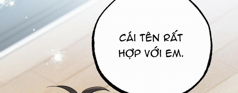 Những Chú Thỏ Của Hapypy 8 trang 44