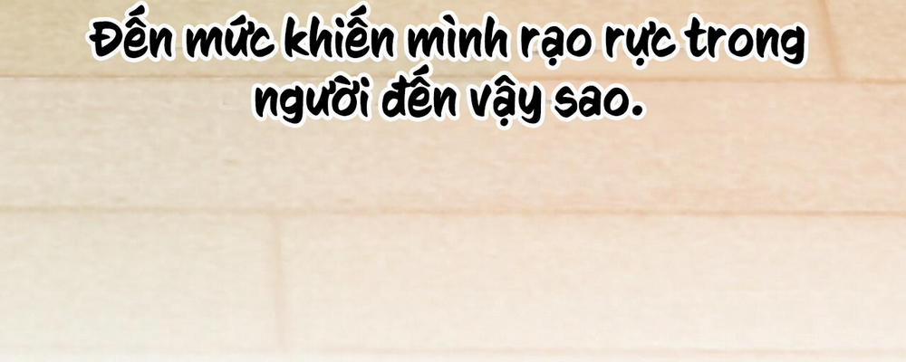 Những Chú Thỏ Của Hapypy 8 trang 75