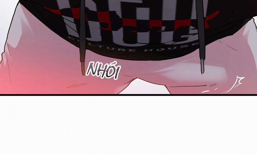 Những Chú Thỏ Của Hapypy 8 trang 9