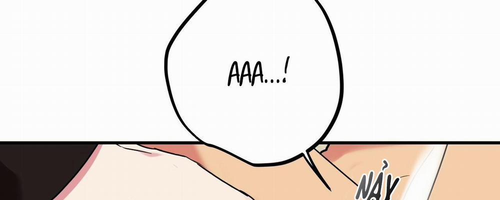 Những Chú Thỏ Của Hapypy 9 trang 10