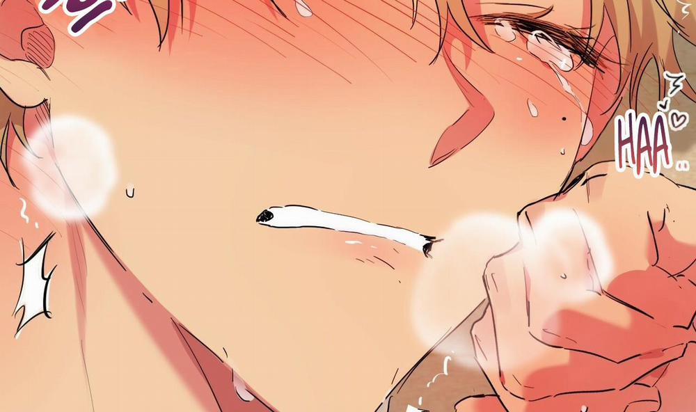 Những Chú Thỏ Của Hapypy 9 trang 100