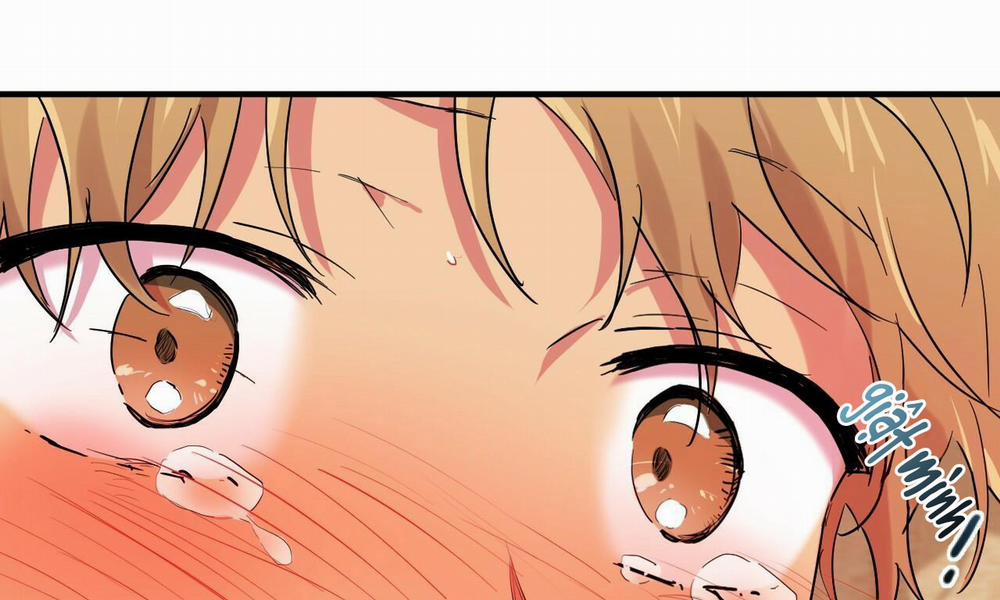 Những Chú Thỏ Của Hapypy 9 trang 103