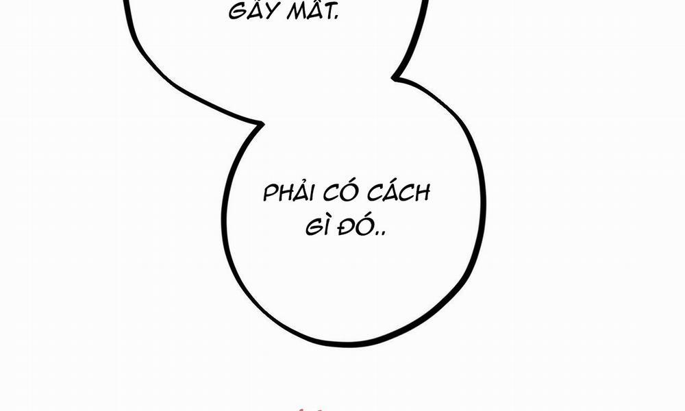 Những Chú Thỏ Của Hapypy 9 trang 116